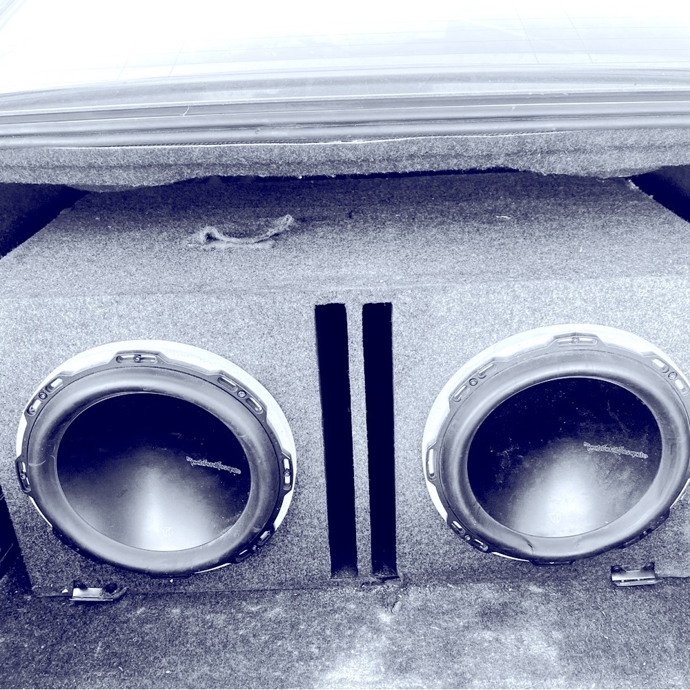 Rockford 12” subwoofers